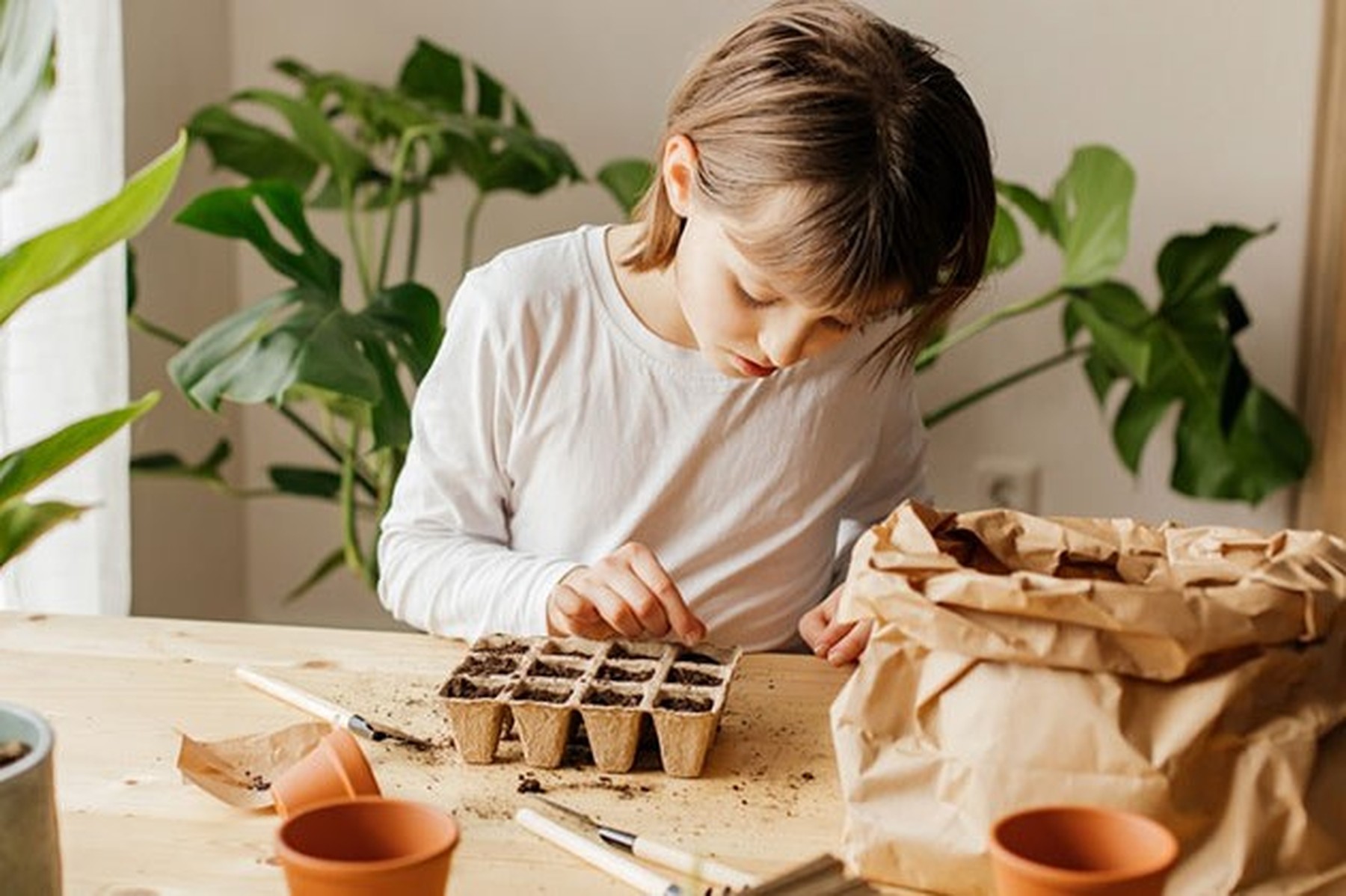 Niño en la mesa de su casa plantando semillas en una huevera de cartón. De fondo vemos plantas