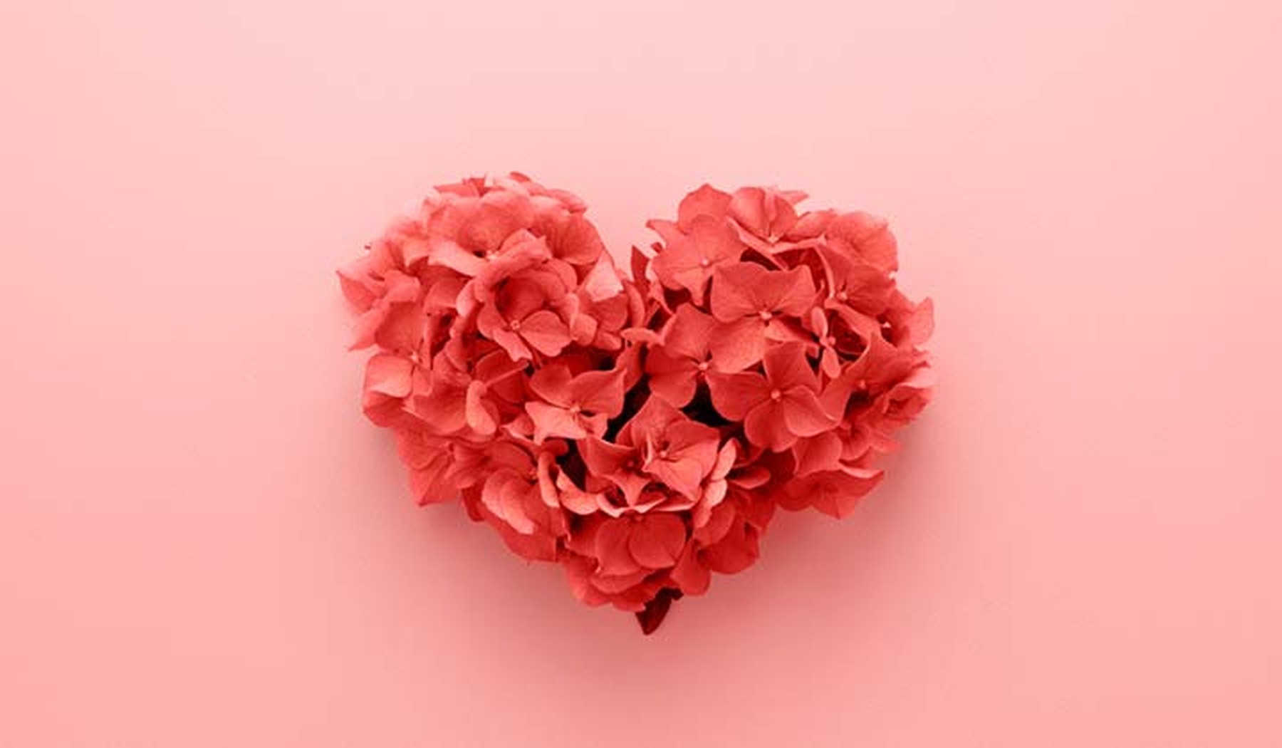 Fondo rosa palo en el que hay un corazón en 3D formado por flores magentas