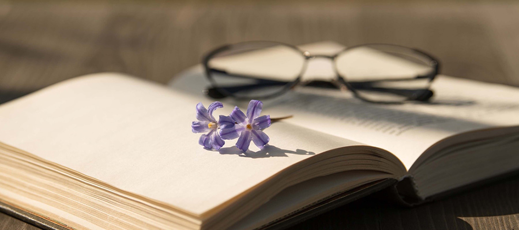 Unas gafas de lectura y una flor de color violeta sobre un libro abierto