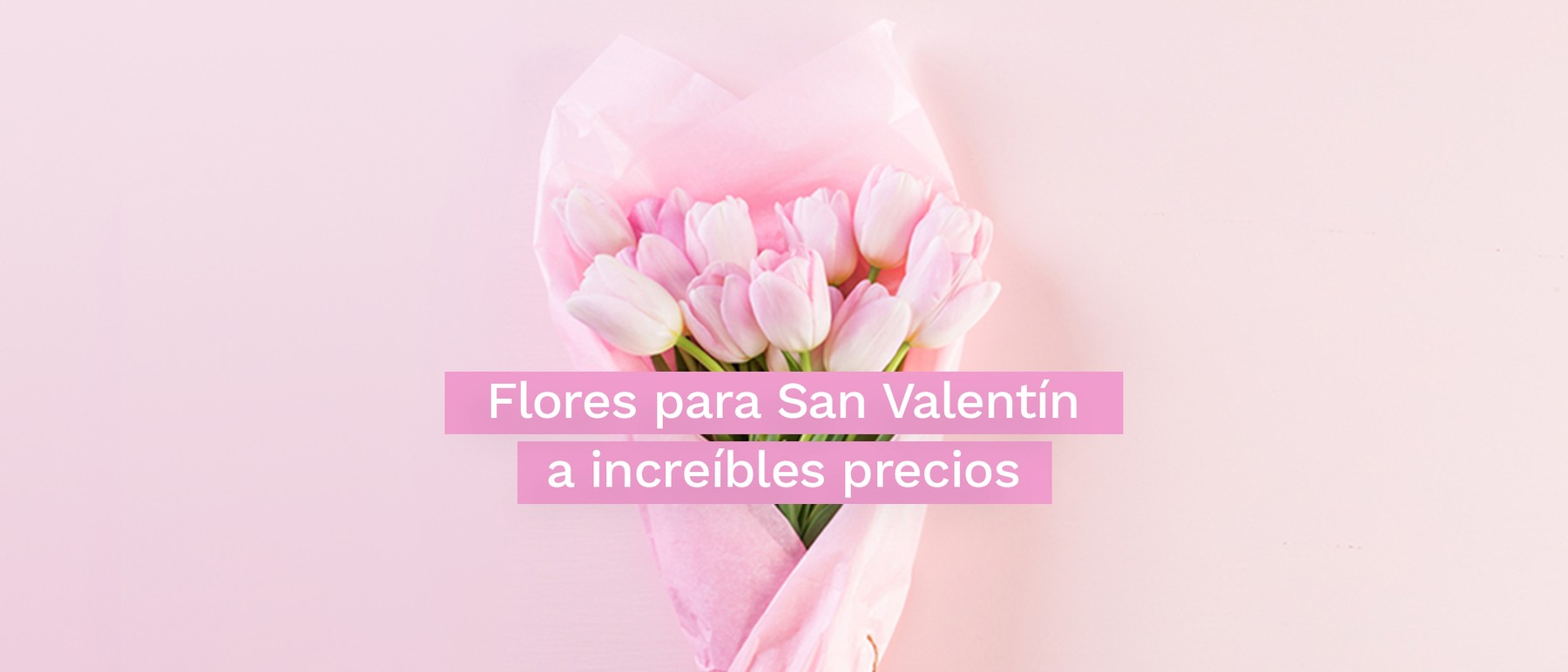 Las flores nunca pasan de moda, elige las mejores y a excelentes precios para este San Valentín.