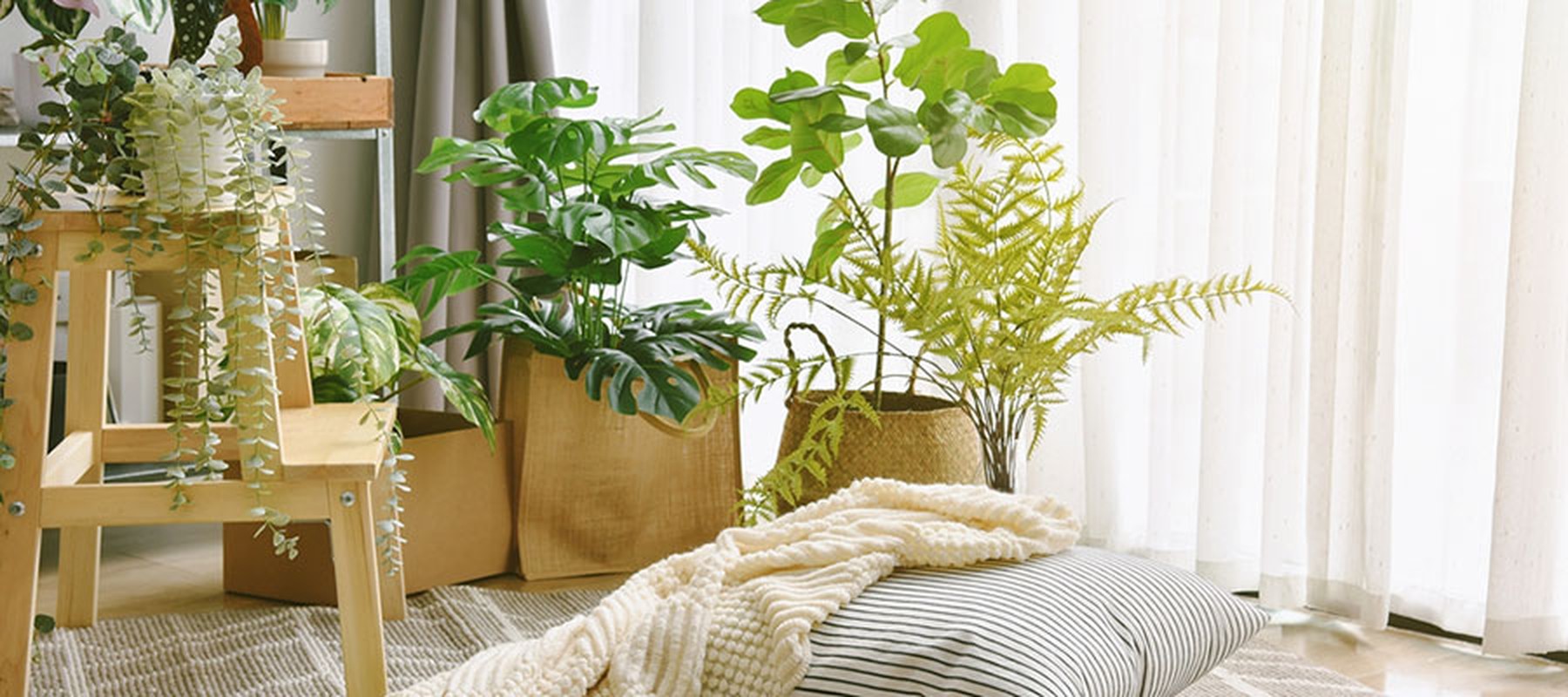 Cojines y mantas junto a varias macetas con plantas en el interior de un salón