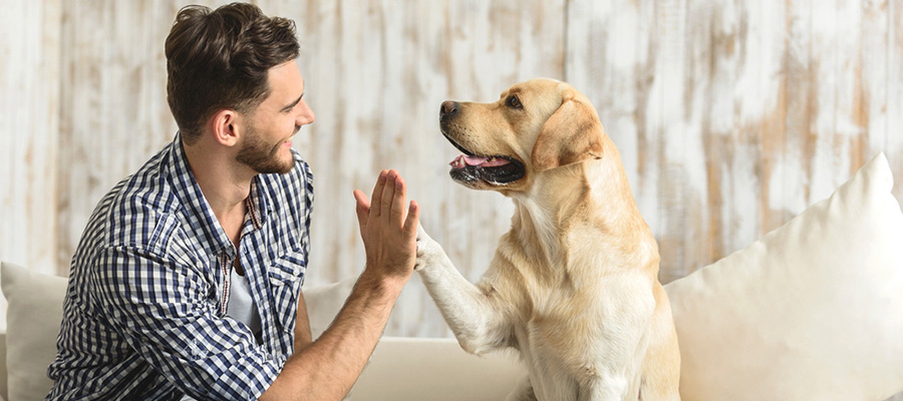 Un jóven y su perro chocando palma contra pezuña
