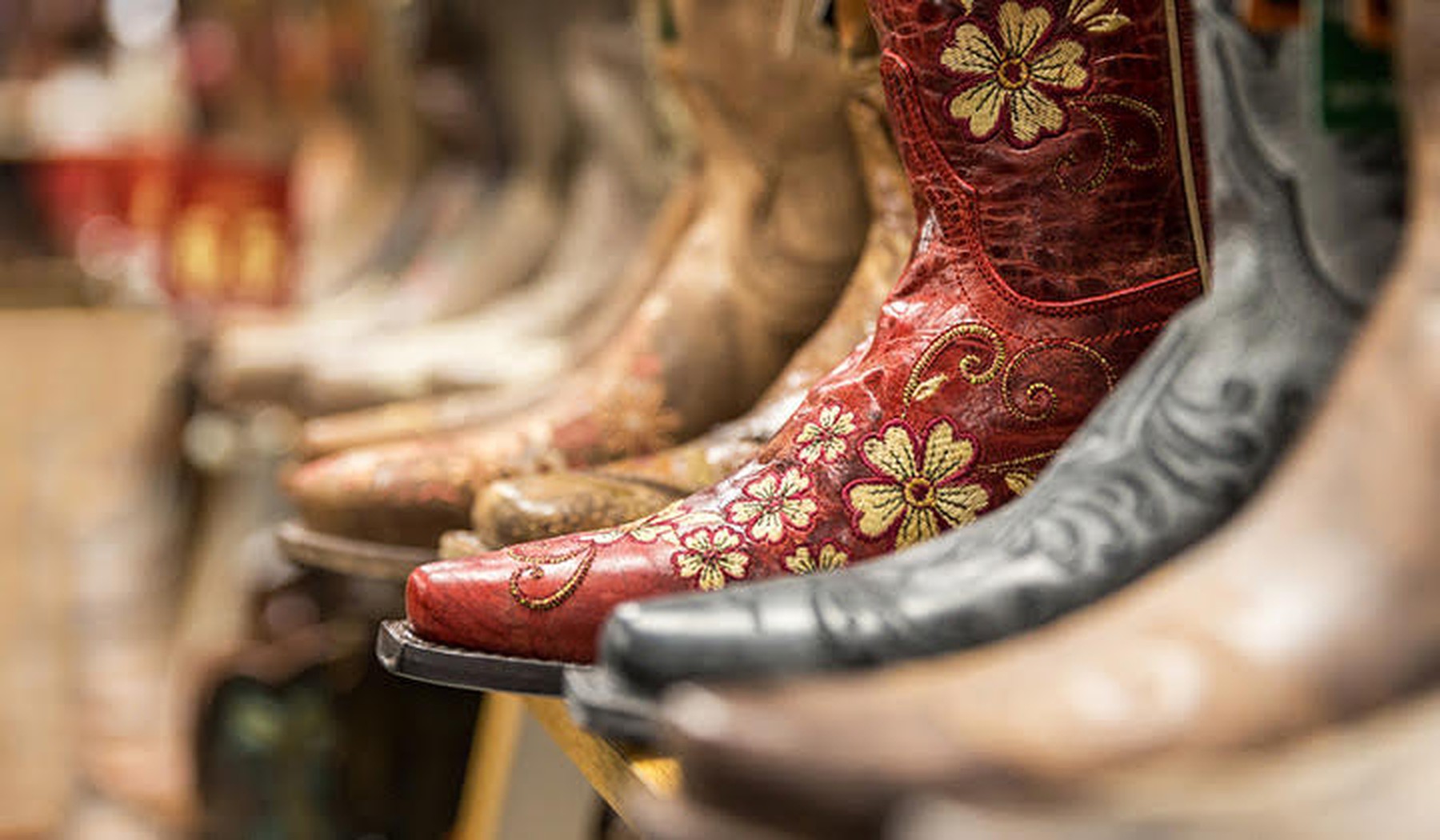 Varias botas de cowboy en una estantería