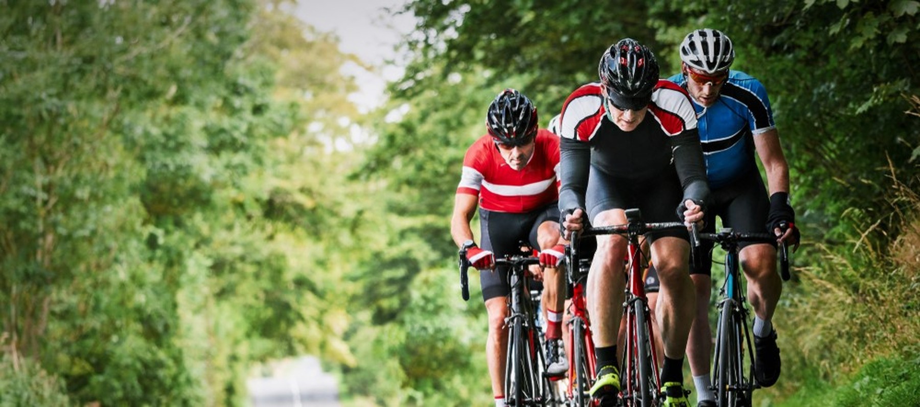 Tres hombres jóvenes montando en bicicleta con maillots y cascos en una carretera con mucho árboles alrededor