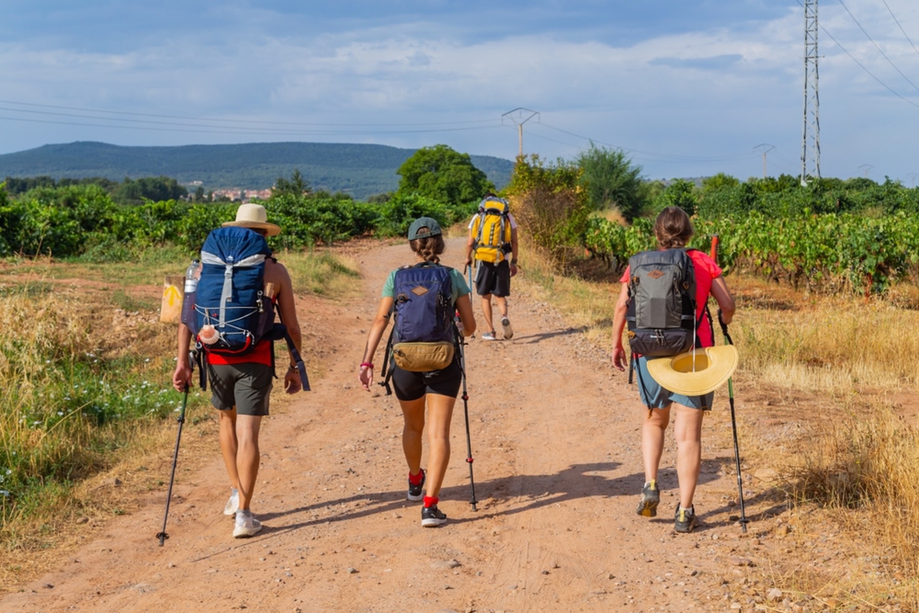Cuatro peregrinos haciendo el Camino de Santiago con gorras, sombreros, mochilas y bastones por un camino de tierra